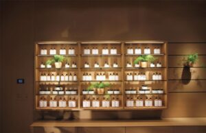 thiết kế thi công showroom mỹ phẩm thuần chay