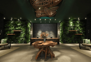 Thiết kế spa phong cách nhiệt đới