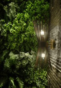 Thiết kế spa phong cách nhiệt đới