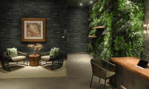 Thiết kế spa phong cách nhiệt đới