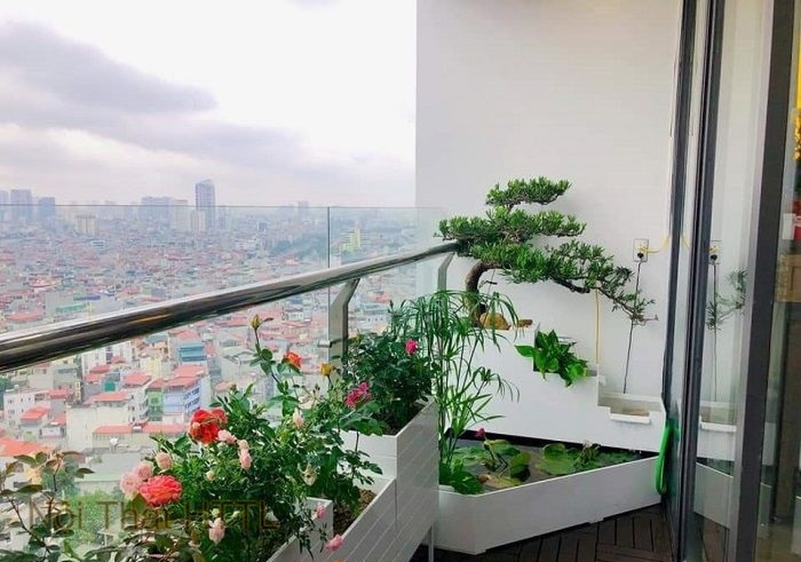 Trang trí ban công chung cư với cây xanh